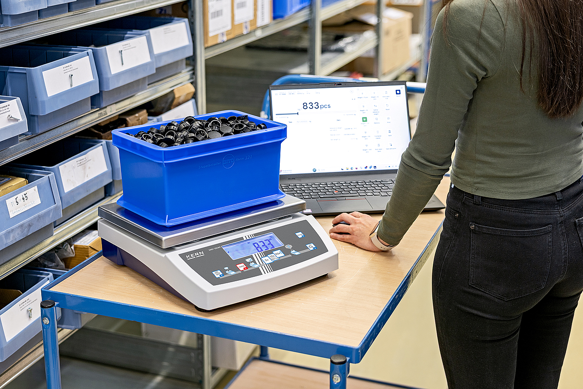 Stückzählung mit KERN EasyTouch Stückzählung mit KERN Waage und EasyTouch Software in der Lagerlogistik